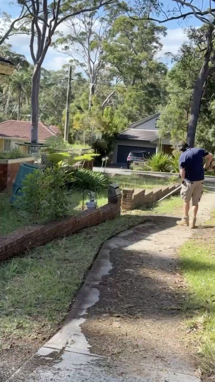 Clearing an overgrown nature strip